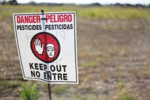 Insecticides Could be to Blame for Behavioral Problems in Children