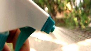 Toxins Meant to Kill Pests Can Put Human Health in Danger